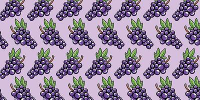 Vector grapes fruit with seamless pattern background