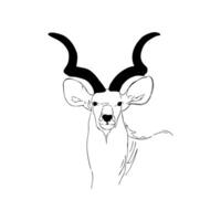 deer with beautiful horns vector