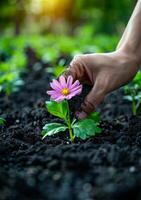 ai generado mano plantando flor en el suelo foto