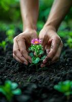 ai generado manos plantando flor en el suelo foto