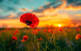 AI generated Red poppy field. A red poppies in the field in evening light photo