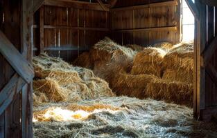 AI generated Hay bales and straw in barn. A pile of hay in the barn photo