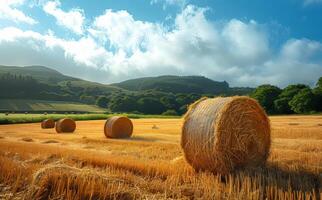 AI generated Hay bales in field. A field with hay bales on top of it photo