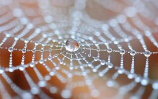 ai generado agua gotas en araña web foto