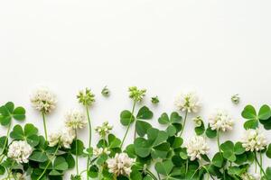 ai generado trébol flores en blanco antecedentes. el concepto de primavera verano foto