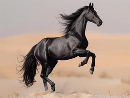 ai generado negro caballo carreras galope en arena en el Desierto foto