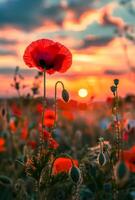 AI generated Red poppies in the field in evening light. beautiful nature background at sunset photo