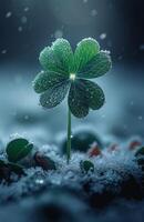 AI generated Clover plant in the early spring. A single small shamrock leaf with fresh snow in the snow photo