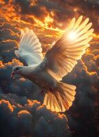 AI generated Dove in the air with wings wide open in-front of the sun photo