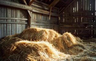 AI generated Hay bales and straw in barn photo