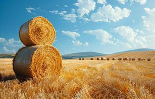 AI generated Hay bales on the field after harvest. A field with hay bales on top of it photo