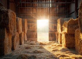 AI generated Straw bales and hay in barn at sunset photo
