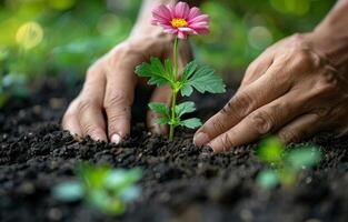 ai generado manos plantando flor en el suelo foto