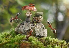 AI generated Ants building stone tower. An ant carrying two small rocks on its back photo