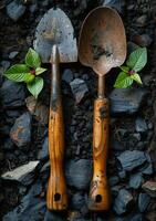 AI generated Two shovels and trowel on rock. The two gardening tools are in soil photo