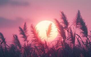 AI generated A serene sunset bathed in pastel hues forms the perfect backdrop for the delicate dance of reeds swaying in a gentle breeze photo