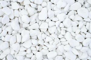 Pure texture of white pebbles. Small stones on the ground. photo