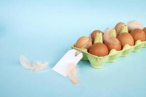 Chicken eggs in recycled paper tray with price tag label. Set of eggs with tag and bird feather photo