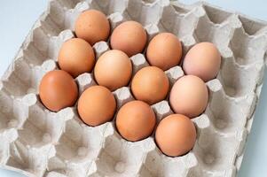 Square pallet for recycling chicken eggs with red chicken eggs. View from above photo