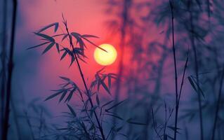 ai generado puesta de sol siluetas mediante bambú foto