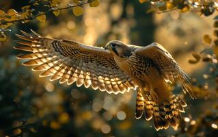 AI generated Majestic Falcon in Flight at Dusk photo