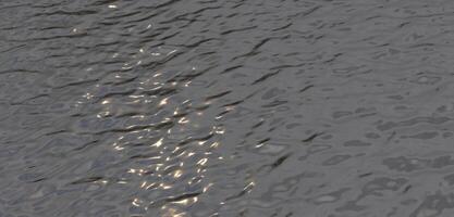 reflexivo agua superficie agua ola antecedentes 3d ilustración foto