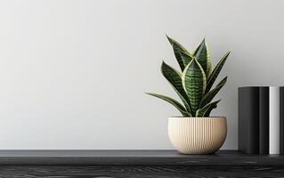 AI generated A potted snake plant adds a touch of greenery to a minimalist shelf arrangement photo