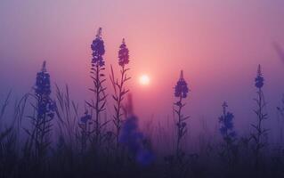 AI generated Silhouetted wildflowers bask in the rosy glow of a setting sun photo