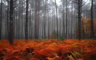 ai generado brumoso otoño bosque foto