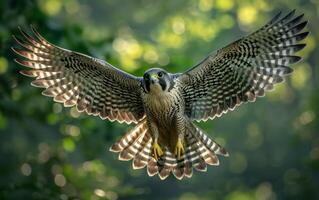 AI generated Majestic Falcon in Flight photo