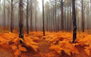 AI generated The forest stands in muted silence, its floor a carpet of russet ferns photo