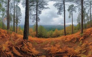 ai generado el bosque soportes en apagado silencio, sus piso un alfombra de rojizo helechos foto