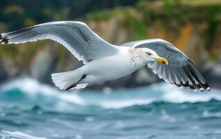 ai generado un Gaviota se desliza terminado el batiendo mar, un maestro monitor de aviar gracia y libertad foto