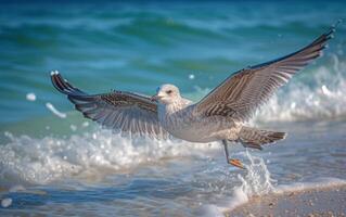 ai generado capturar el dinámica movimiento de un Gaviota tomando vuelo foto