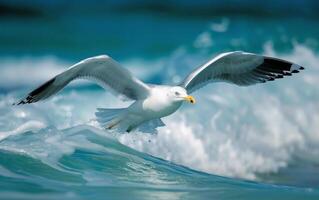 ai generado un Gaviota se desliza terminado el batiendo mar, un maestro monitor de aviar gracia y libertad foto