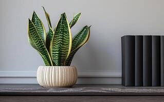 AI generated A potted snake plant adds a touch of greenery to a minimalist shelf arrangement photo