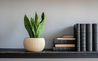 AI generated A potted snake plant adds a touch of greenery to a minimalist shelf arrangement photo