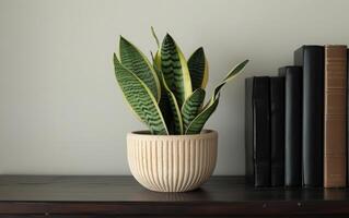 AI generated A potted snake plant adds a touch of greenery to a minimalist shelf arrangement photo