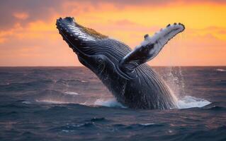 ai generado un asombroso monitor de un jorobado ballena incumplimiento el Oceano superficie con un dramático puesta de sol foto