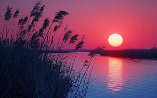 AI generated Vibrant sunset hues paint the sky and reflect on tranquil waters, with reeds in silhouette photo