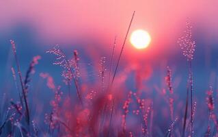 AI generated A delicate spider web, adorned with morning dew, captures the first light of dawn photo