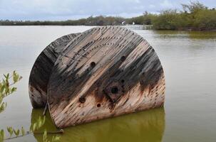 Old Round Weathered Spool in Shallow Water photo