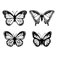 Illustrated butterfly on white background vector