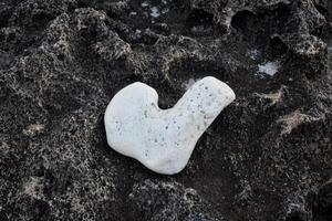 corazones encontró en naturaleza con contrastando piedras foto