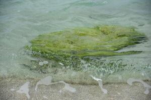 Water Splashing Around a Green Rock photo