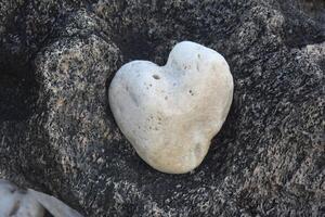 White Natural Heart Shaped Stone on a Rock photo