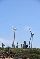 Electricity Produced by Windmills and Harnessing Wind Power photo