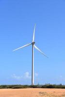 Sustainable Wind Energy Produced by a Windmill photo