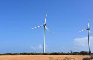 Windfarm with Windmills Against Blue Skies in Aruba photo