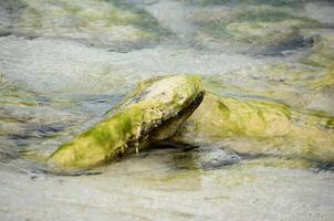 Stacked Rocks Covered with Algae in Shallow Waters photo